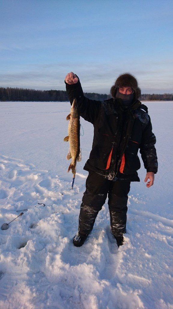 Крупная щука на зимней рыбалке во Власьево