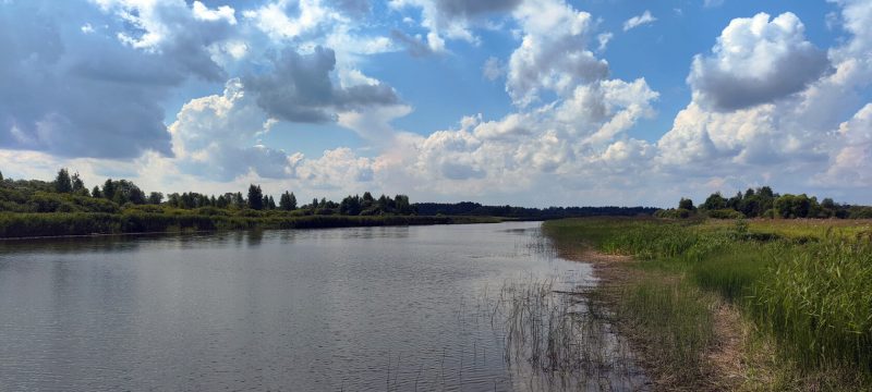 Рыбалка на реке Яуза в Гагаринском районе