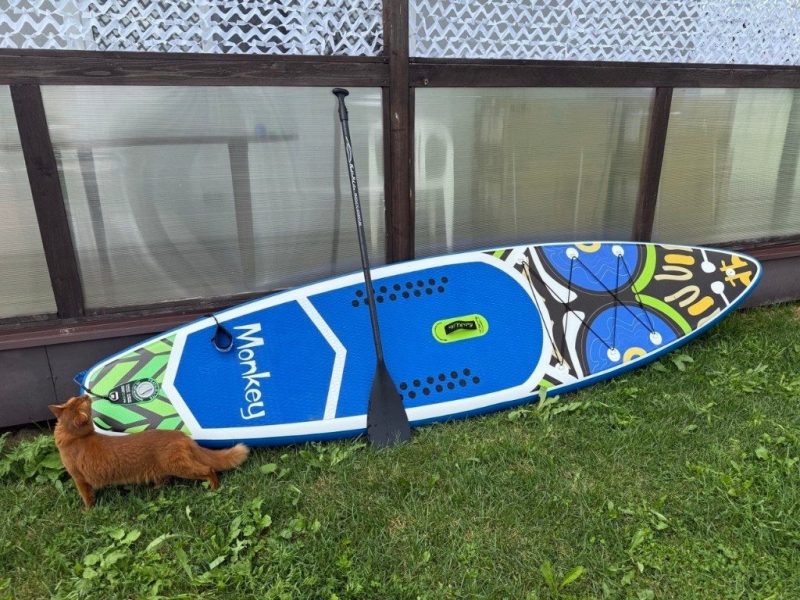 Сапборд Monkey (Funwater) на газоне во Власьево
