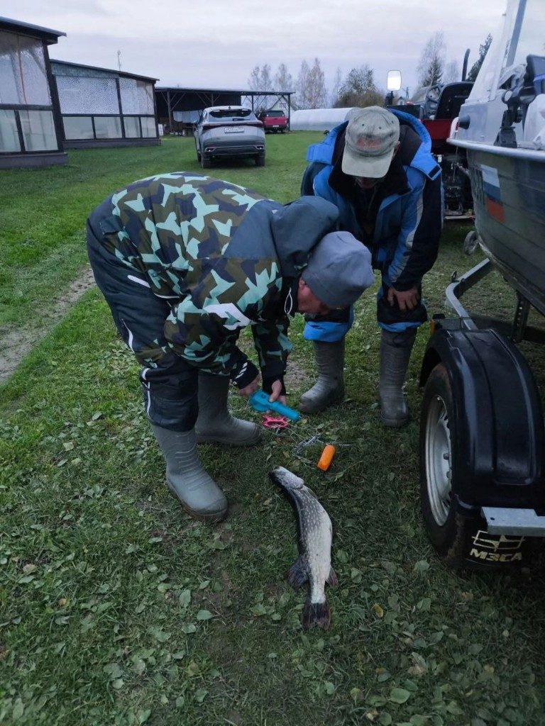 Рыбаки осматривают щуку перед взвешиванием во Власьево, Гагаринский район